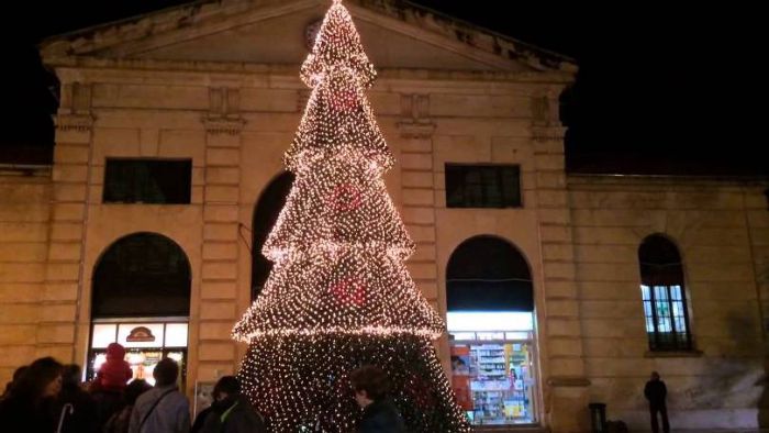 Αύριο η φωτοδότηση του Χριστουγεννιάτικου δέντρου στην πλατεία της δημοτικής αγοράς