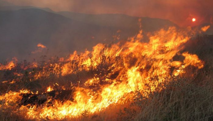 25.287 στρέμματα έγιναν στάχτη στην Κρήτη φέτος το καλοκαίρι