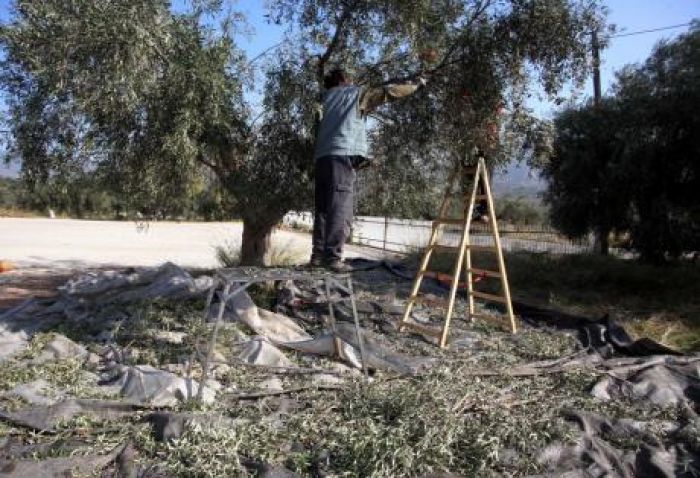 Επιδοτήσεις: Στο ειδικό καθεστώς οι αγρότες με ποσό κάτω των 5.000 €