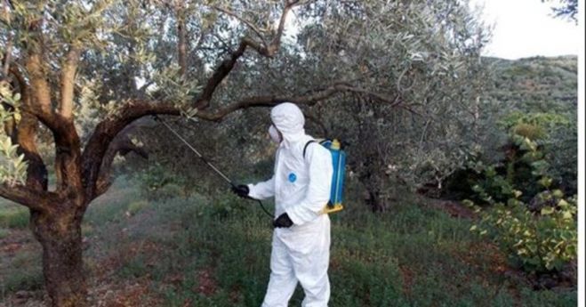 &Sigma;&upsilon;&nu;&epsilon;&rho;&gamma;&alpha;&sigma;ί&alpha; &Pi;&epsilon;&rho;&iota;&phi;έ&rho;&epsilon;&iota;&alpha;&sigmaf; &Kappa;&rho;ή&tau;&eta;&sigmaf; &kappa;&alpha;&iota; &Epsilon;&rho;&epsilon;&upsilon;&nu;&eta;&tau;&iota;&kappa;ώ&nu; &Iota;&delta;&rho;&upsilon;&mu;ά&tau;&omega;&nu; &gamma;&iota;&alpha; &tau;&eta;&nu; &pi;&alpha;&rho;&alpha;&kappa;&omicron;&lambda;&omicron;ύ&theta;&eta;&sigma;&eta; &tau;&omicron;&upsilon; &pi;&rho;&omicron;&gamma;&rho;ά&mu;&mu;&alpha;&tau;&omicron;&sigmaf; &delta;&alpha;&kappa;&omicron;&kappa;&tau;&omicron;&nu;ί&alpha;&sigmaf; &kappa;&alpha;&iota; &tau;&eta;&nu; &phi;&upsilon;&tau;&omicron;&pi;&rho;&omicron;&sigma;&tau;&alpha;&sigma;ί&alpha; &tau;&eta;&sigmaf; &epsilon;&lambda;&iota;ά&sigmaf; &mu;&epsilon; &sigma;ύ&gamma;&chi;&rho;&omicron;&nu;&alpha; &mu;έ&sigma;&alpha;