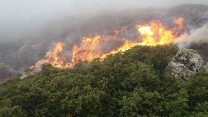 Αποκάλυψη του Χαράλαμπου Κουκιανάκη για τις φωτιές που έκαψαν το καλοκαίρι τον Αποκόρωνα
