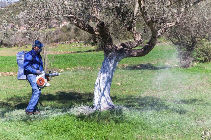 Διαμαρτυρία αγροτών στην ΠΕ Χανίων για την δακοκτονία και ερώτηση Κεγκέρογλου στη βουλή